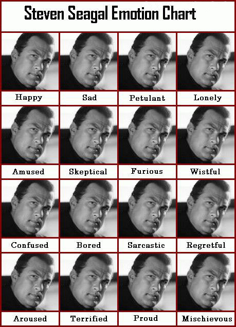 Steven_Seagal_Emotion_Chart[1].jpg